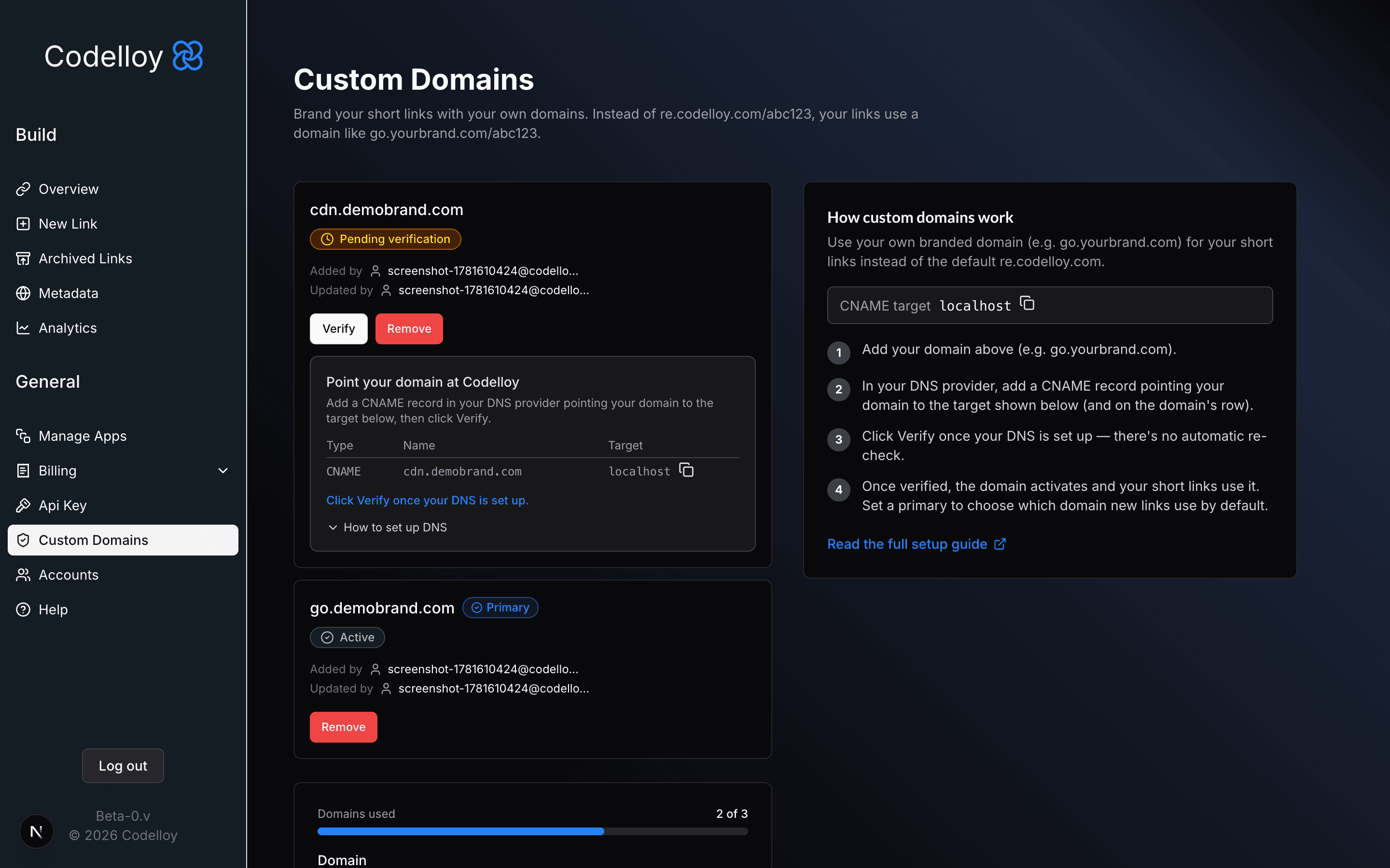 The Custom Domains page: a Pending domain with a Verify button and CNAME setup instructions, an Active domain marked Primary, the "2 of 3" domain quota bar, and a side panel explaining how custom domains work